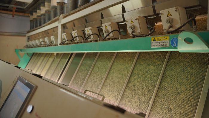 rice mill sorting